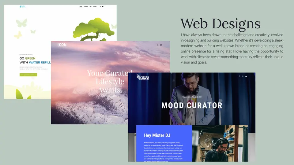 Portfolio page 29: Web Designs
